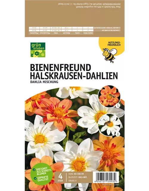 Bienenfreund Halskrausen-Dahlien