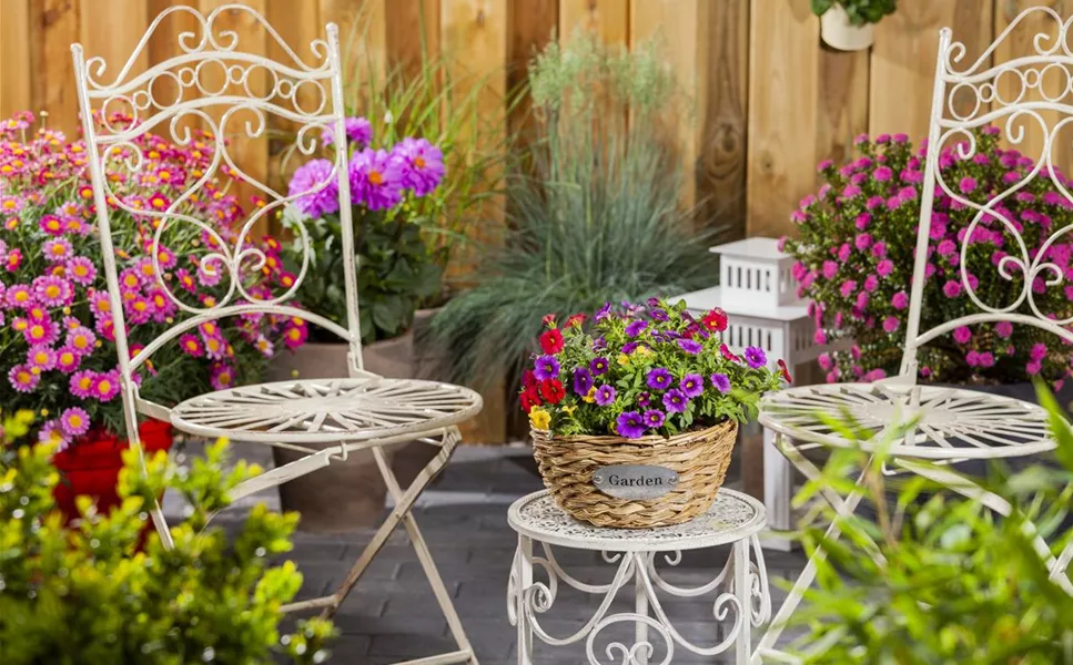 Balkon & Terrasse - Die schönsten Blüten und Blätter!