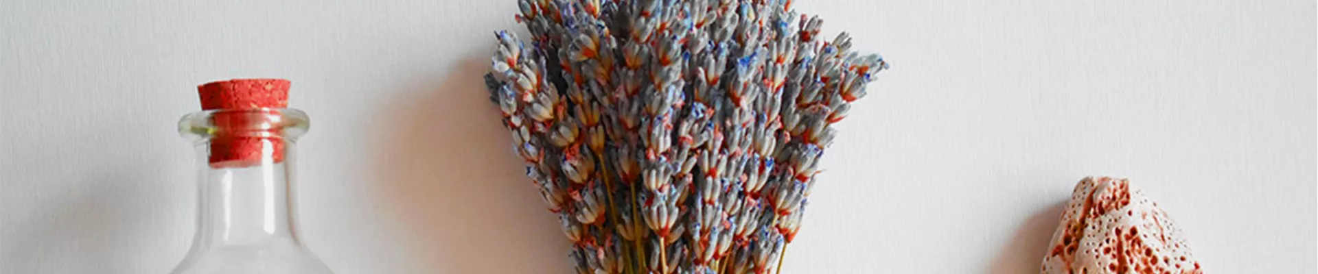 TROCKENBLUMEN!