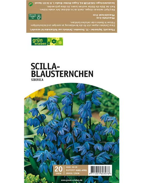 Blausternchen