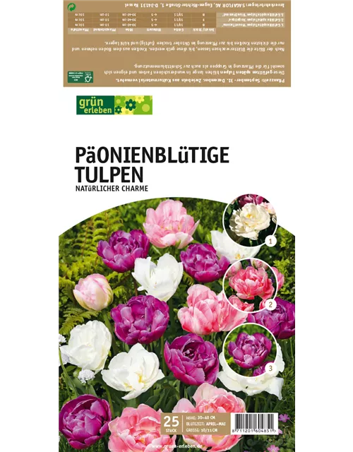 Gefüllte späte Tulpen