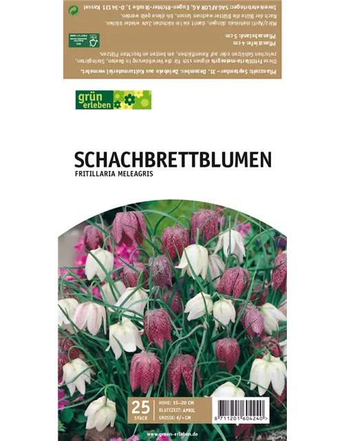 Schachbrettblumen