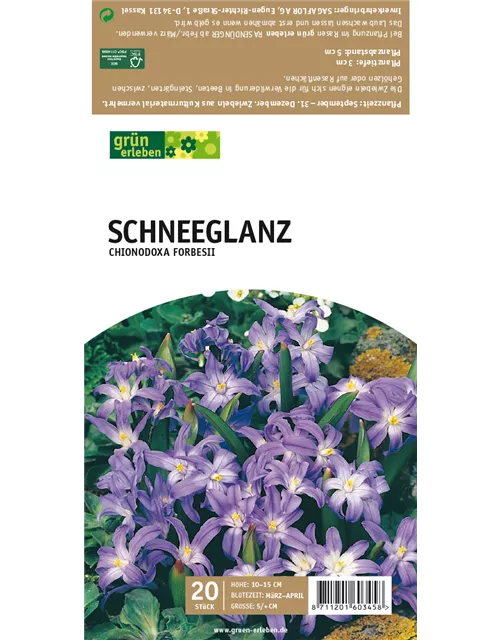 Schneeglanz