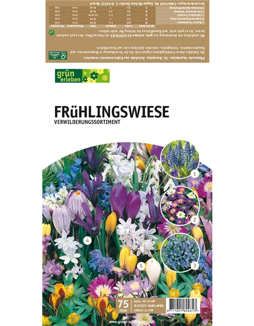 Frühlingswiese