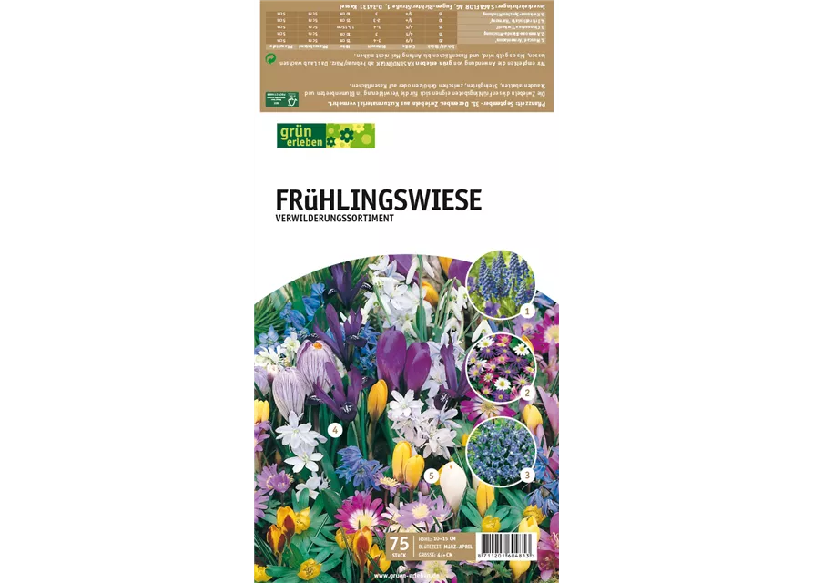 Frühlingswiese