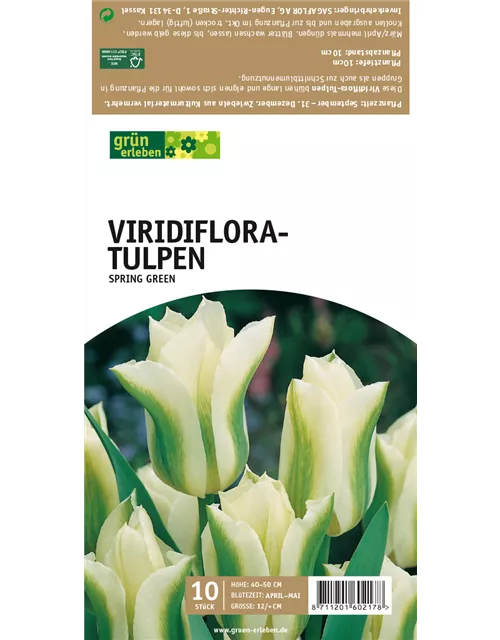 Viridiflora-Tulpen