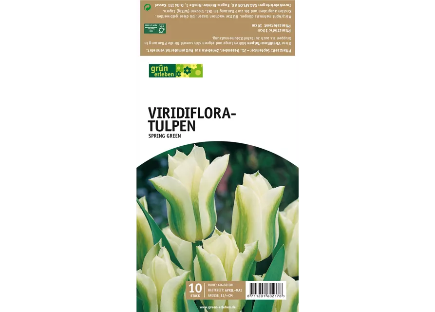 Viridiflora-Tulpen