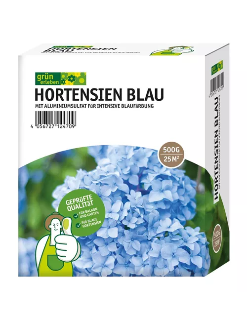 Hortensien Blau