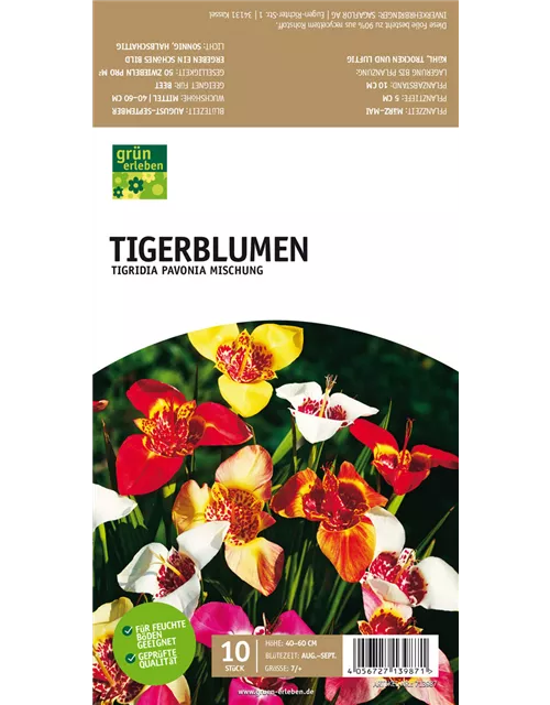 Tigerblumen