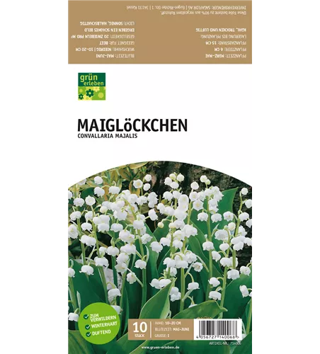 Maiglöckchen