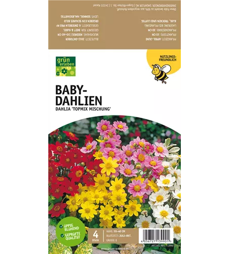 Bienenfreundliche Baby-Dahlien