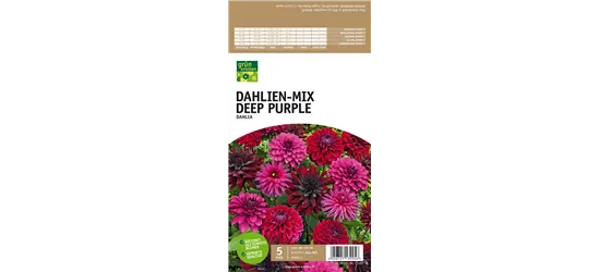 Dahlien-Mix Deep Purple