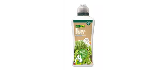 FRISCHE KRÄUTER! 