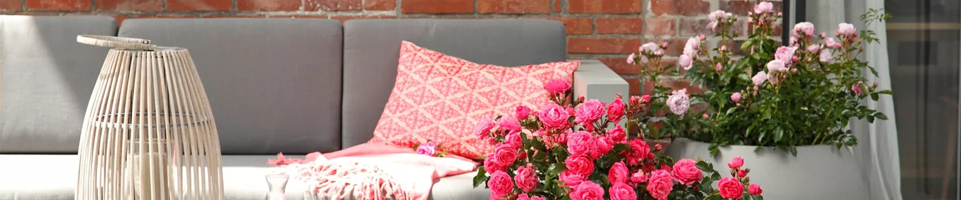 DIE ROSE!