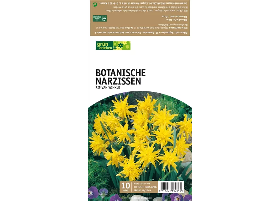 Botanische Narzissen