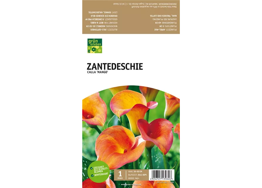 Zantedeschie