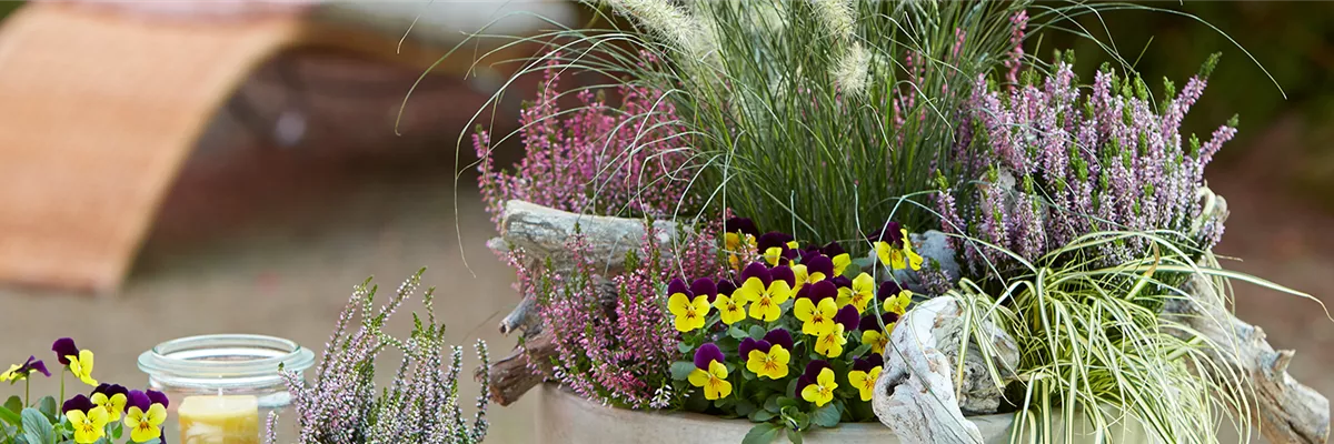 TERRASSENTRENDS IM HERBST