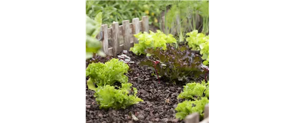 GENUSS-GARTEN!