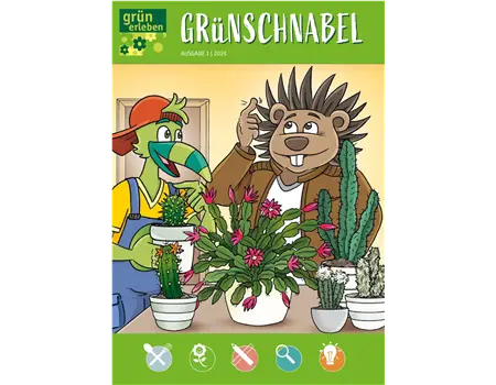 Ausgabe 1 2026