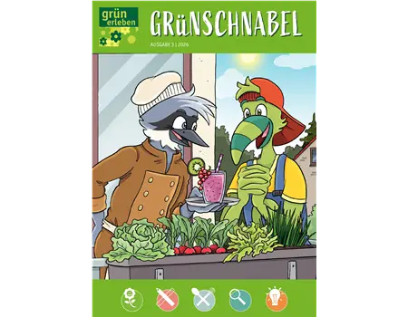 Ausgabe 3 2026